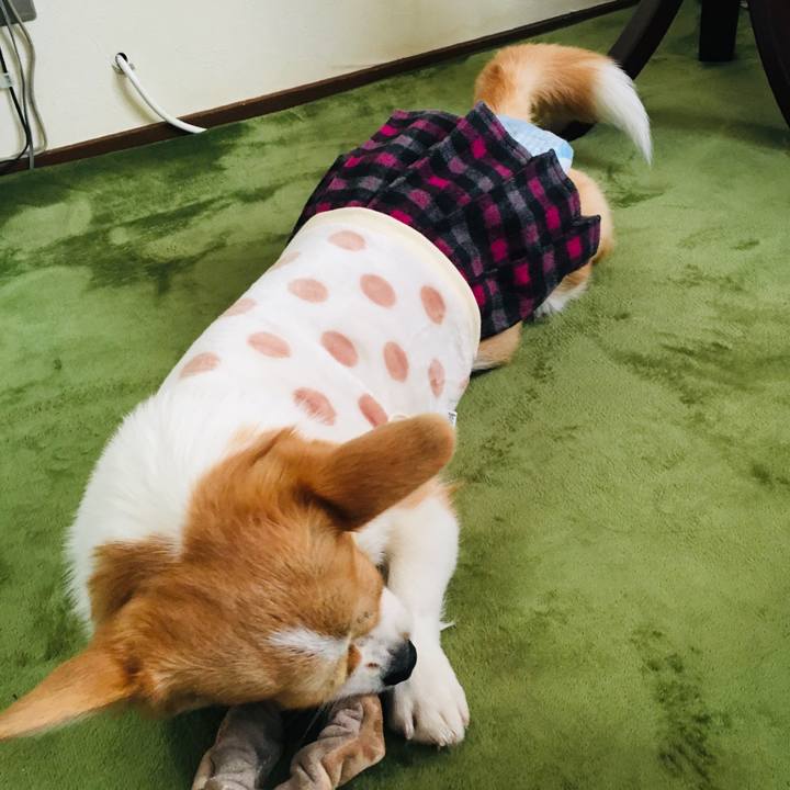 51f32a80 c437 4f07 bdc4 a606ec5da6c8 1577886148111