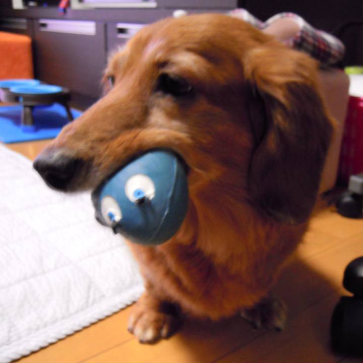 51f36cfb 8d63 4c5a 9ae5 2b041cf52e26 1561486891542