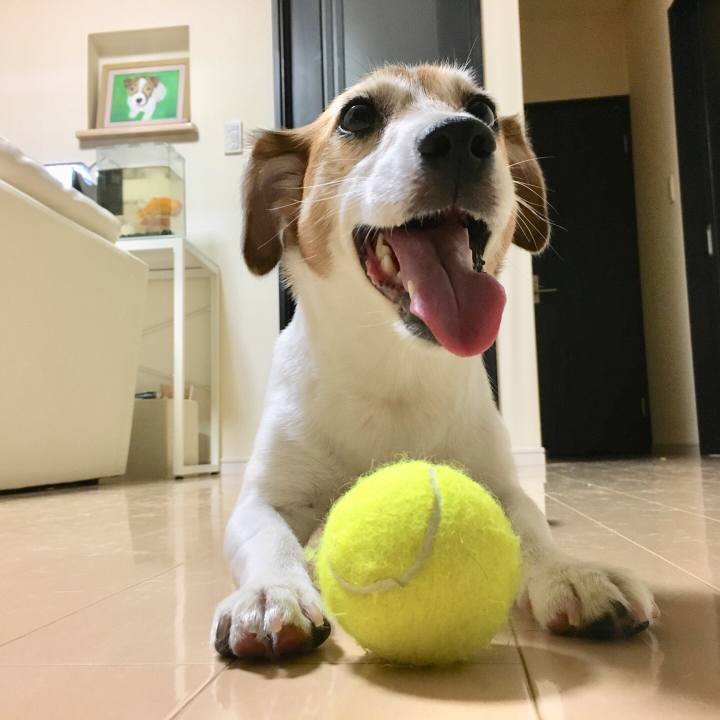 51f381ad e439 43c1 9679 804b45874cc8 1532240402983