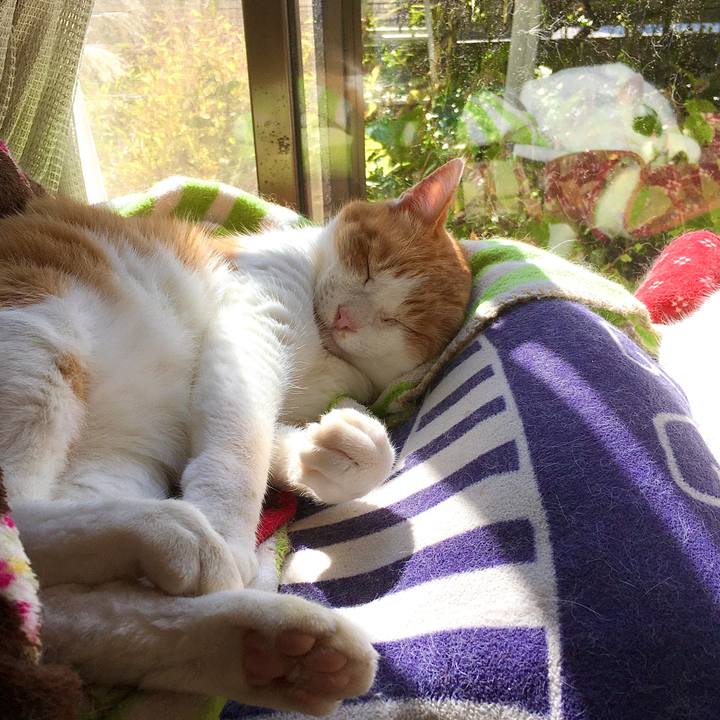 51f392fc 8a7e 4d2e aae8 1d66150055c1 1604137832630