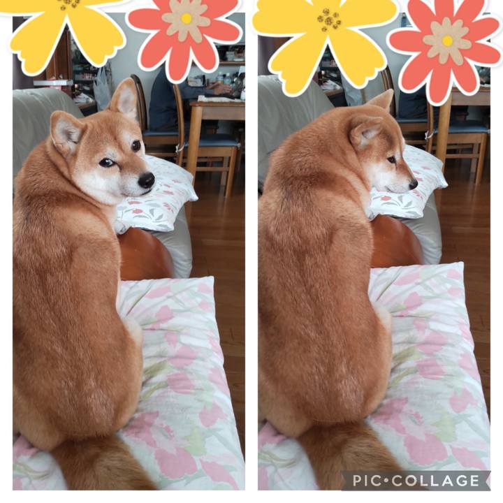 51f3af3d 3c5e 4feb 8310 4679b4b6dc21 1699159690445