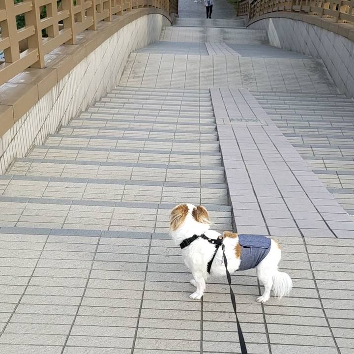 51f3f348 268c 4f25 b715 dd8e35eb347a 1623058316049