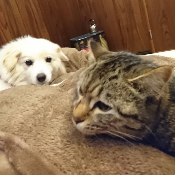 51f3f62c a808 4e78 ad1d 220d3c25a967 1550247406708