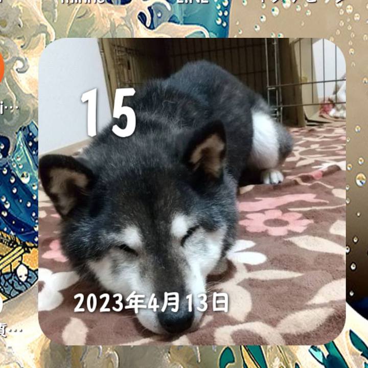 51f42954 7526 49a7 b085 46a7a2bfb1f1 1713166579263