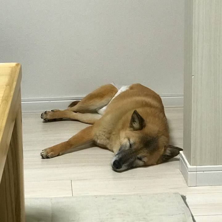 51f42aeb 55b9 4406 bb5c f90dc68b97fe 1529231767966