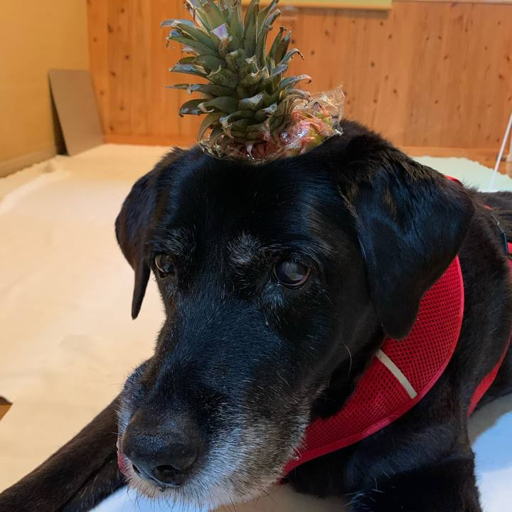 51f42e57 c7fd 40a5 923a 5fbda29f6b82 1649716772618