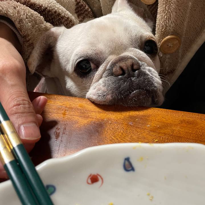 51f444f3 f50a 44f8 af6f e209d2c1f723 1737329192822