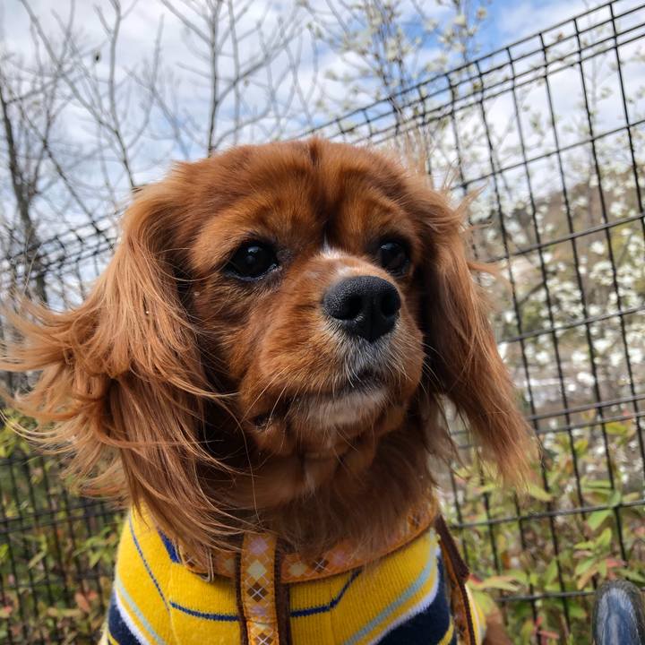 51f451fd 7761 4ca4 a316 309a29ad4c75 1554004239454