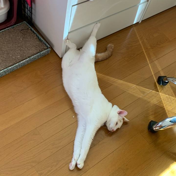 51f457f2 112a 4bd7 aa88 5ddee0da4b57 1590378749191