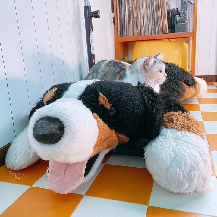 51f4a8a7 e0f9 489c 8a6a ceaed77a4de2 1666279083441