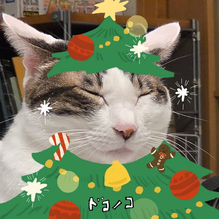 51f4e592 4a85 4d16 b143 ea8922e47777 1762832466750