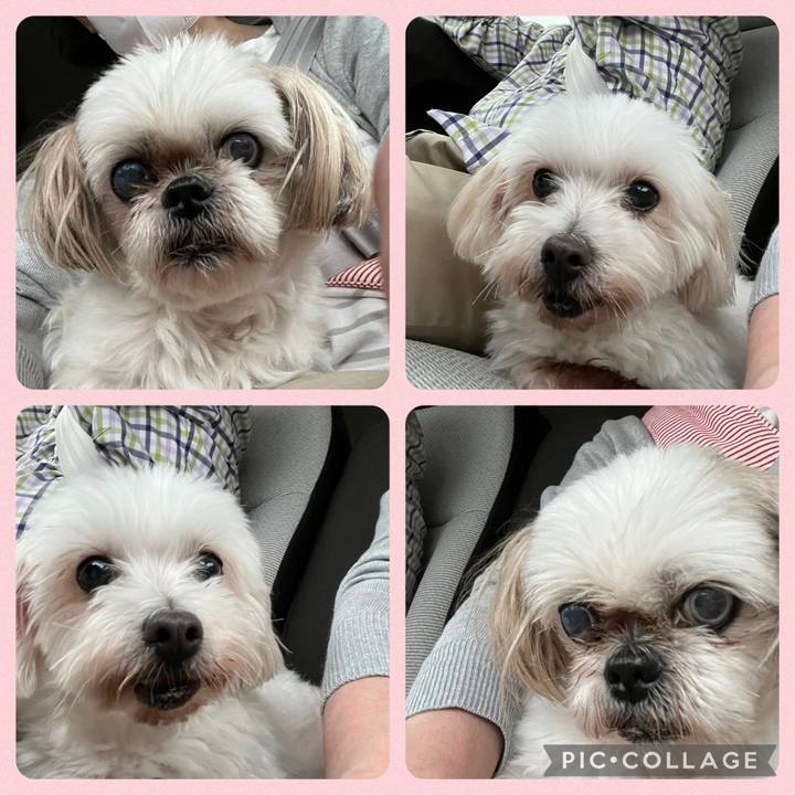 51f4f053 b0c5 4aab b2ec 50781dd7de92 1728116886085