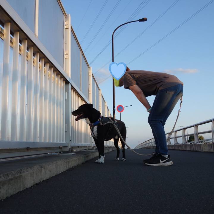 51f4f29b cac8 4692 9b3e 9700b7ae1db9 1655032433815