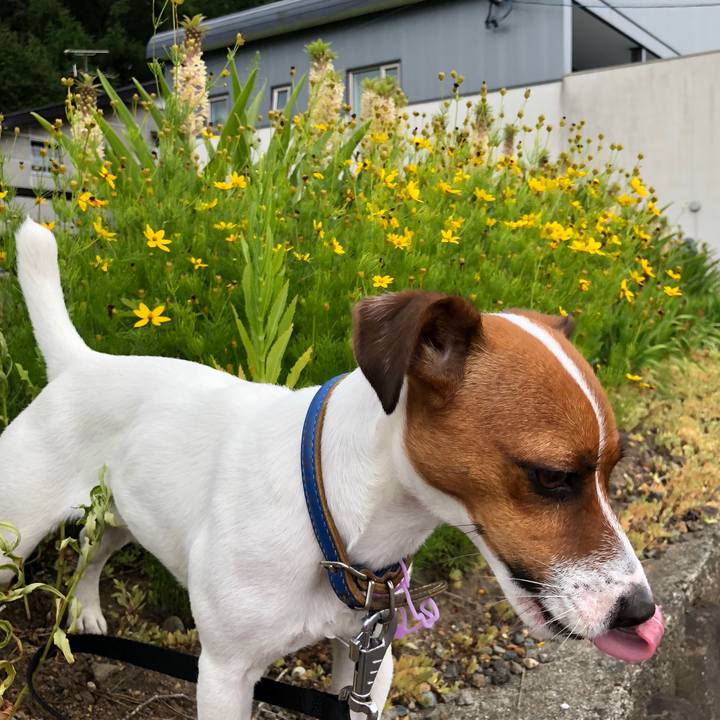 51f50e8e 8d31 4cd1 b90b c0166342b0cb 1533726917427