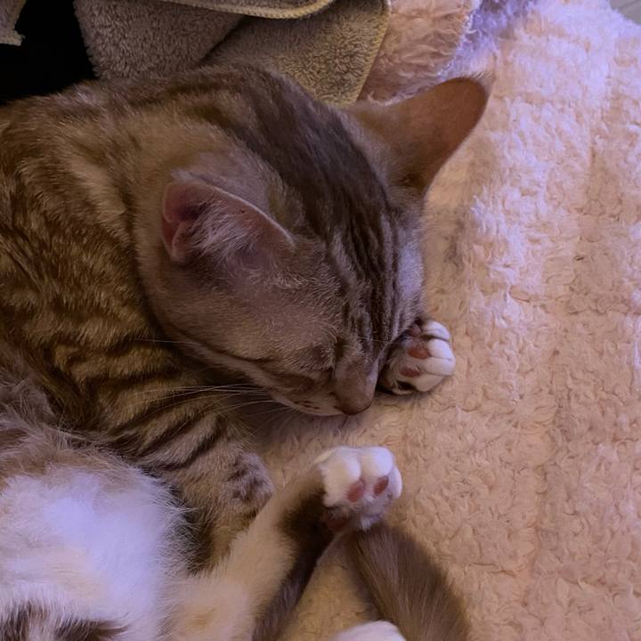 51f53909 7ff2 4eed 82fd 6573cab97091 1641041978752