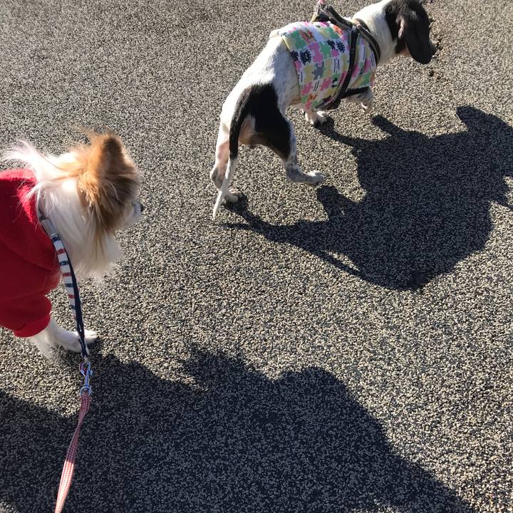 51f55fbd 868d 45bd b534 53bd810d4d8a 1514431457085