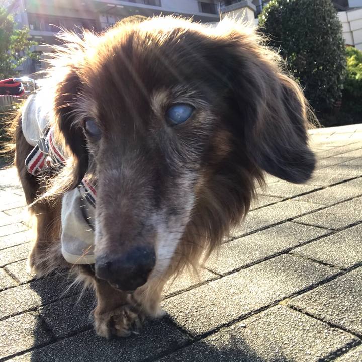 51f57aac cd3a 4a3e ab10 6ea81f13f033 1577594505127