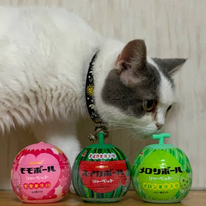 51f5a890 d46c 4d90 aac2 6ae3c4fb4029 1725025777978