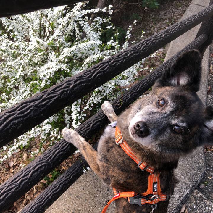 51f5cf7c 2bab 4384 a5de b1891e98a76d 1679298434398