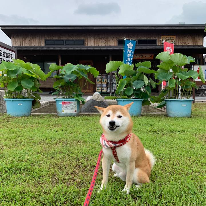 51f5d547 168e 4636 942c 2e6112855fa6 1595678356082