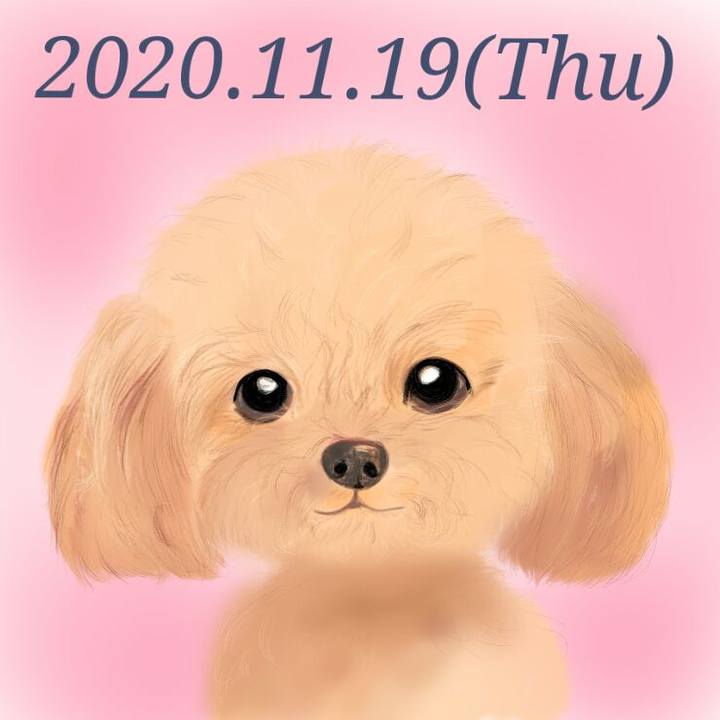 51f604ed 0462 4d70 a61e 03a1efeb16d6 1605791357414