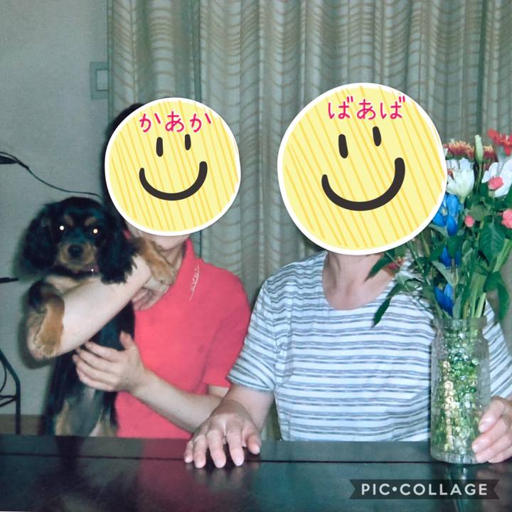 51f61d29 57d6 4382 8cf1 034f17d3a6dc 1578488452348