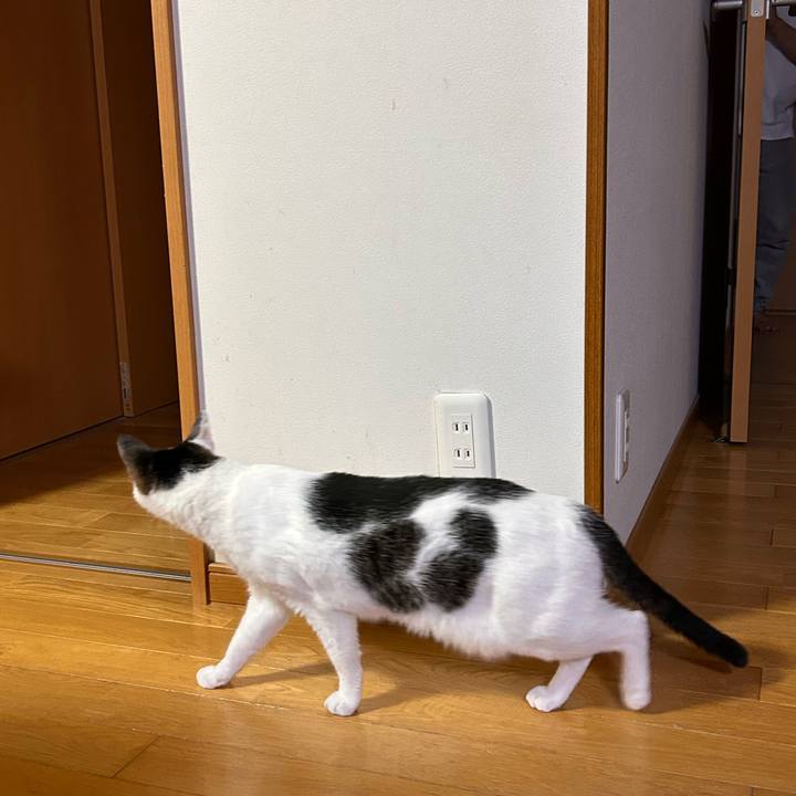 51f6216c f93c 45be 968c b08a96cdc3f7 1719316583986