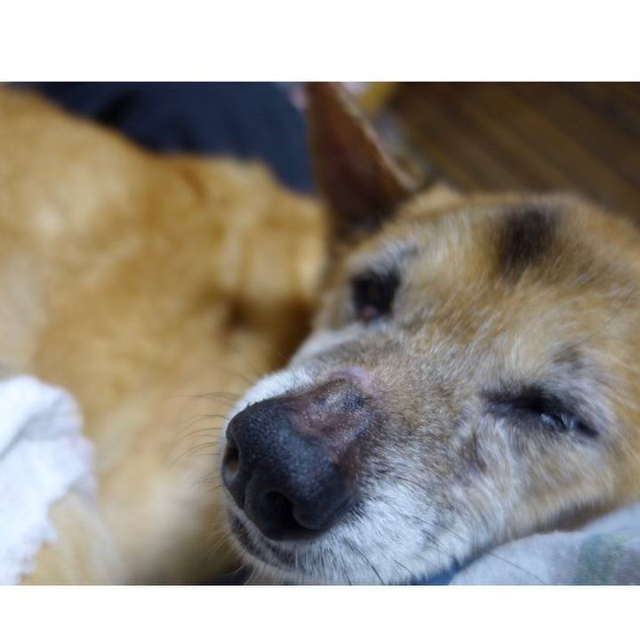 51f6258d 6f57 4b61 9770 0ccca4d7cef5 1568548074532