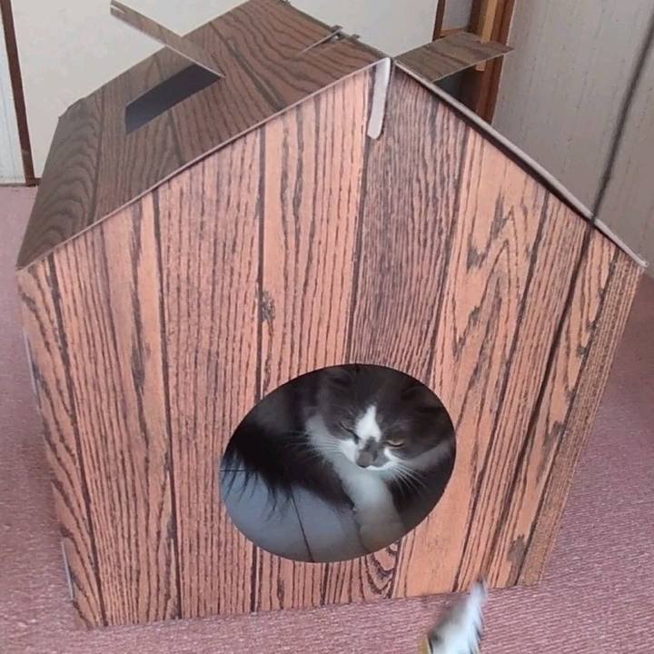 51f629f4 c3f2 4871 9b67 488c96289305 1670206278495