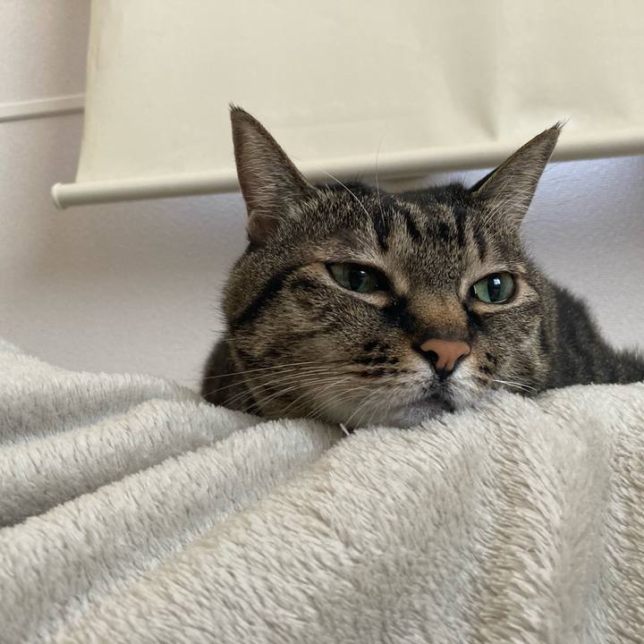 51f66c35 5088 4904 ab2b 4593d7329cf9 1740277921732