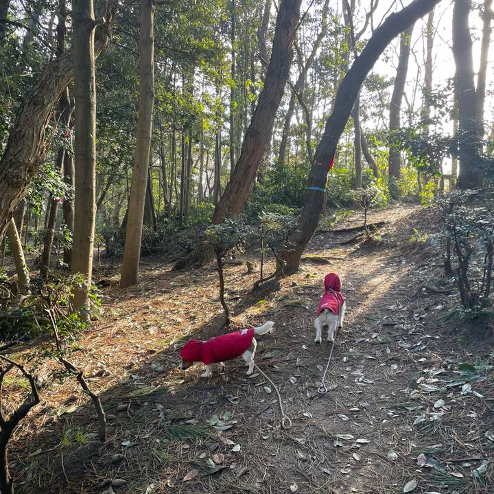 51f6c2da 9b9b 46bd aad4 14eee21a5bc8 1677368098328