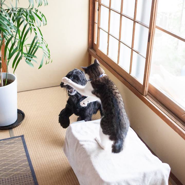 51f6f1e2 c34d 47ce b127 c66ffc988969 1602059093271