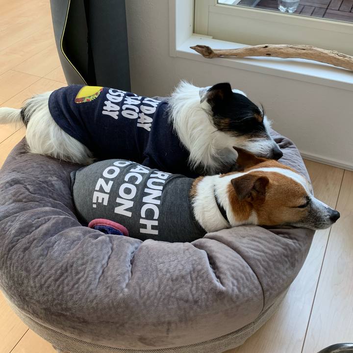 51f6f528 aaba 45d5 85eb a44788370a08 1586561957437