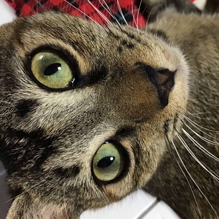 51f78336 d11a 4ac5 ac73 a3d80a374113 1574920048232