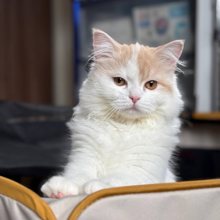 51f79e09 1026 48ea 947b a55d4e960674 1748752078951