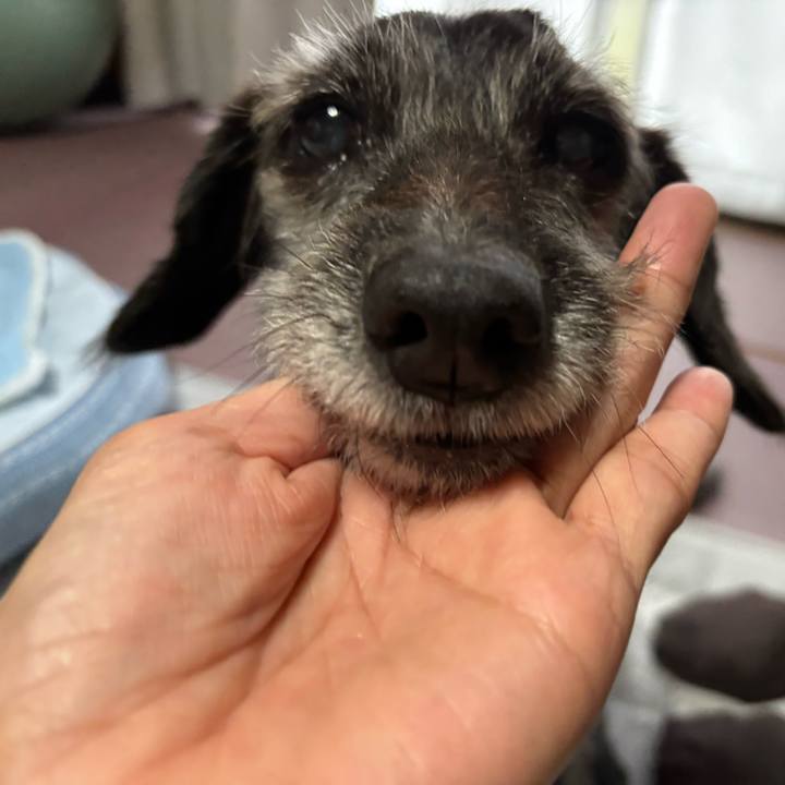 51f7bcf3 de7b 4305 a756 ebb0df74722d 1759620876529