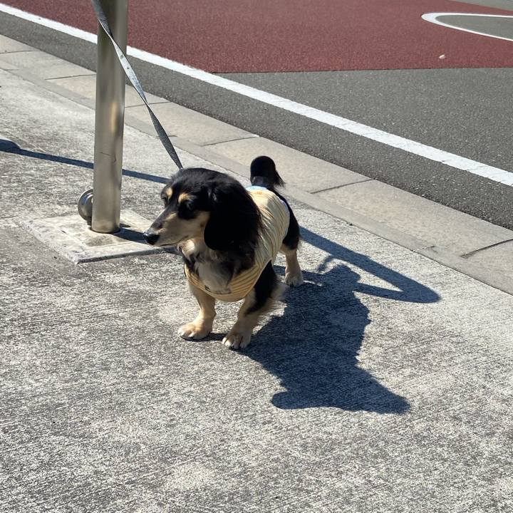 51f810a6 ad22 4780 91ad 93c494429263 1710384430307