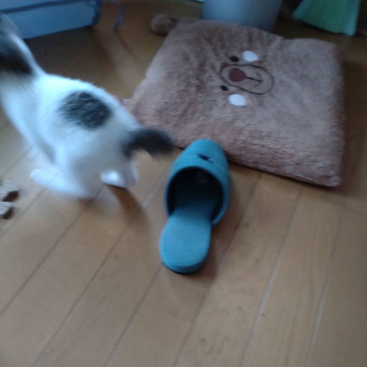 51f81249 f04f 4da0 9e1e e2956b95943a 1632604321648