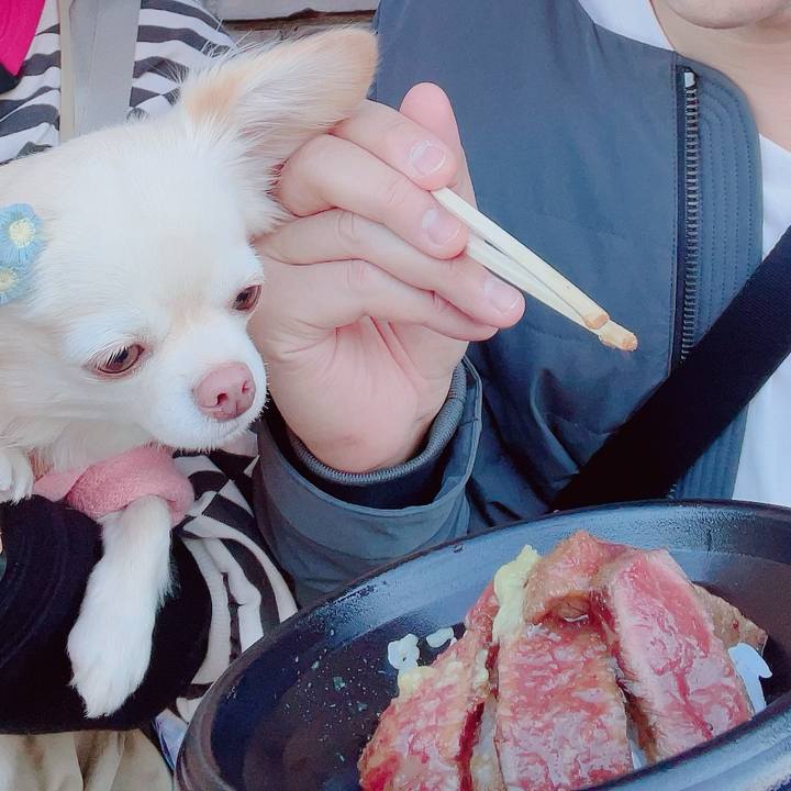 51f81557 55eb 41f5 b89c 6afba76c81cb 1700386922882