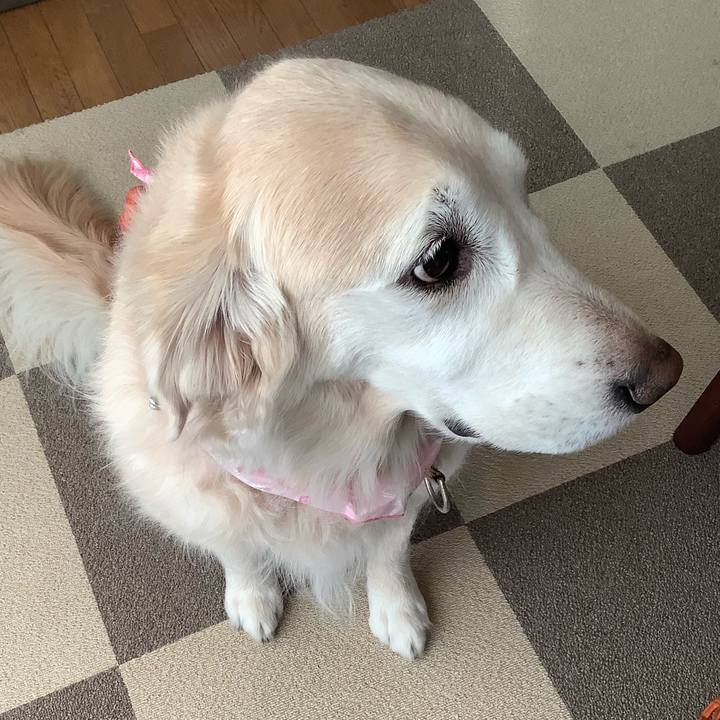 51f84666 6099 40f3 aa87 4c431fd8456d 1643583801014