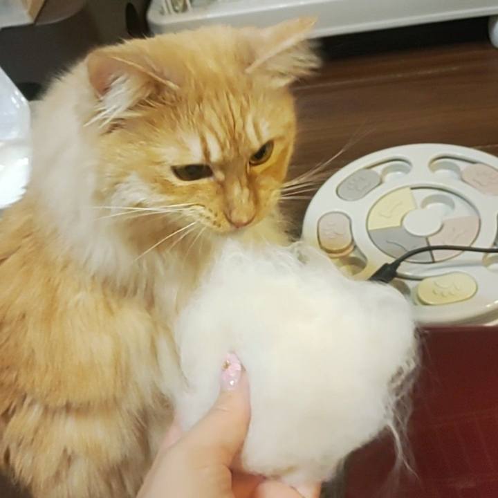 51f86ce2 2db8 429b aead 30462bdae116 1679225508438