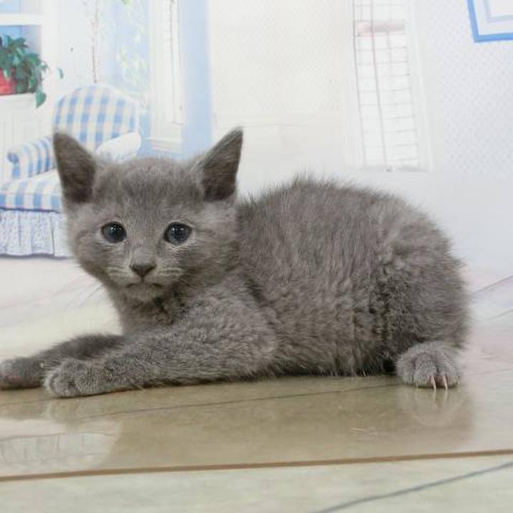 51f872d6 2d25 4c6c 8aa3 86780453fbfe 1629020516421