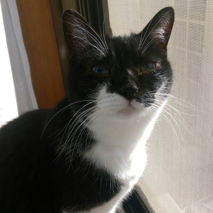 51f878cc 086e 42b2 9614 9b661cb49ccc 1546489503285