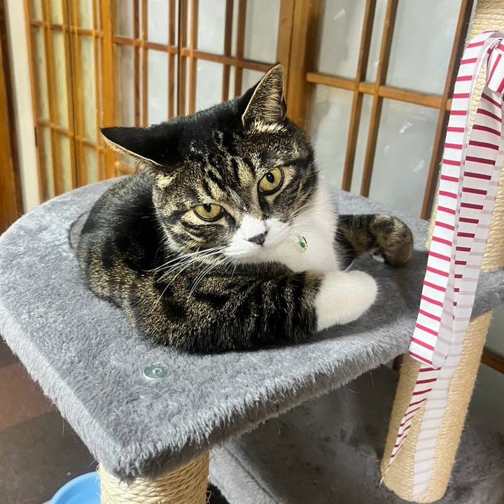 51f87caa 8f2a 48a3 acbc f4abbc045bdb 1771976370814