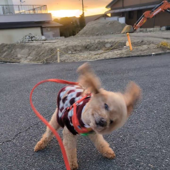 51f88351 ed6c 4799 95bf 3d31d144d8f5 1766897086256