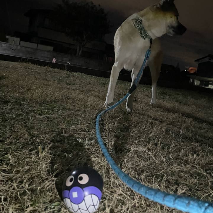 51f8b4c1 aac6 45dd 923a 8883d4e3ed71 1704886017825