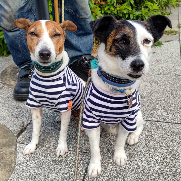 51f8d693 b861 4762 864e 6cfb2b27d1e7 1717023702850