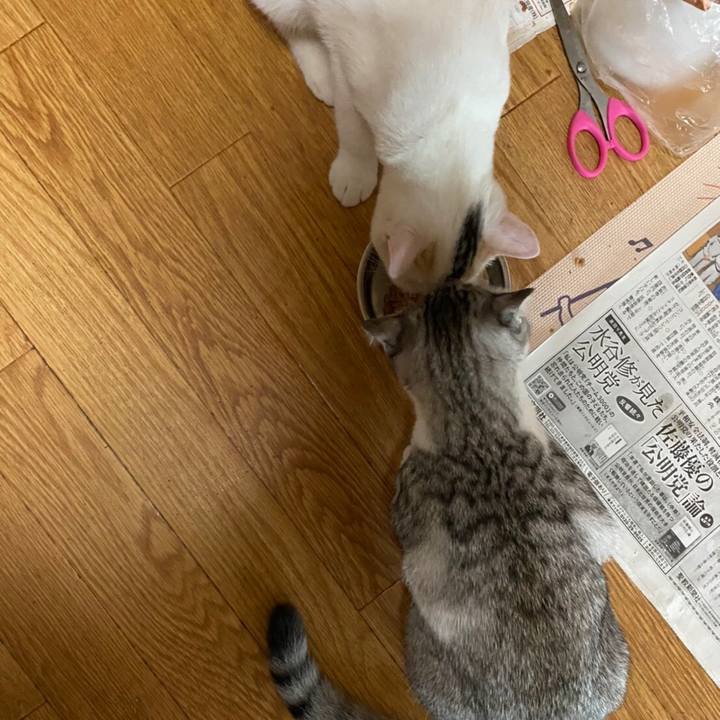 51f8f274 660e 435b afcd 6e431acd136f 1596929593660