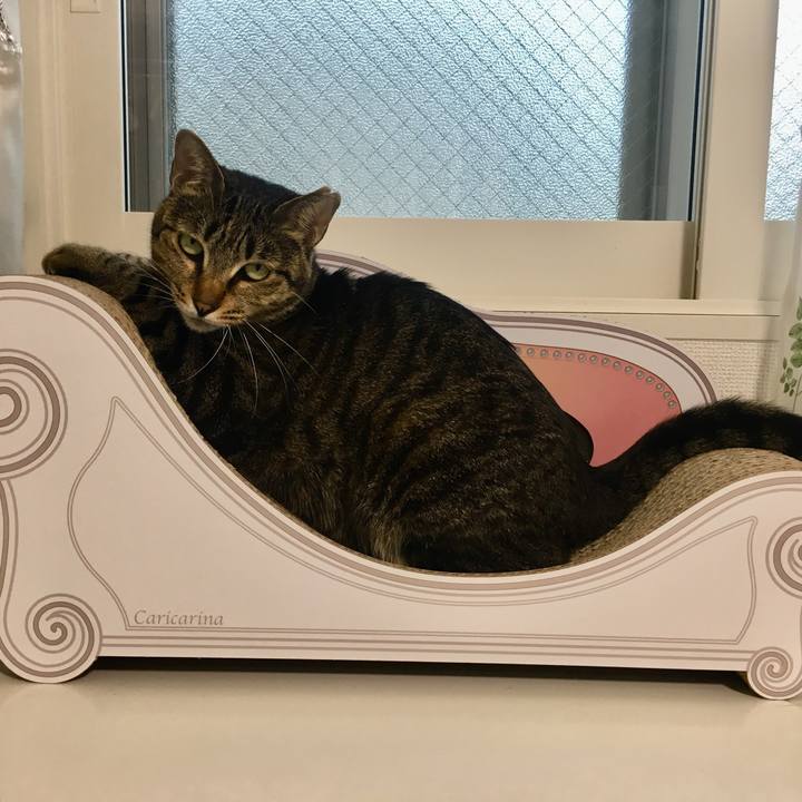 51f8fda5 c2ab 4c33 ad59 37385fbdfef2 1556698034166