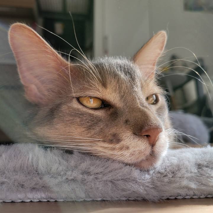 51f921cd 659d 45af acac f71669f7b799 1674709359772